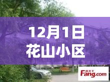 花山小区租房信息解析，最新热门房源专刊（12月1日）