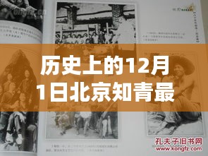 北京知青新政策引领科技风潮，重塑生活体验的智能先锋产品揭秘