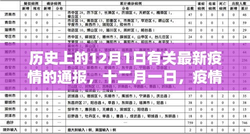 十二月一日，疫情下的温馨日常与友情纽带——历史通报最新疫情回顾