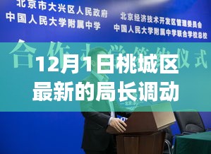 桃城区局长人事调动深度解析，最新篇章开启，12月人事调整一览