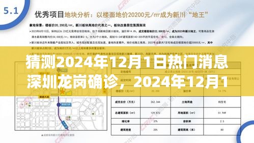 探寻传闻背后的真相，2024年深圳龙岗疫情揭秘与热门消息解读