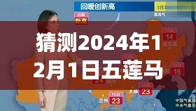 揭秘预测，五莲马强在2024年12月的未来新篇章。