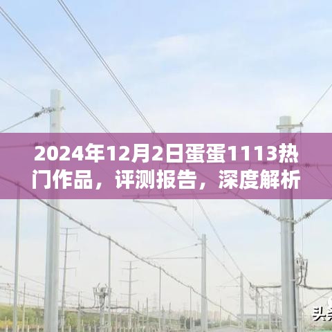 2024年12月2日 第5页