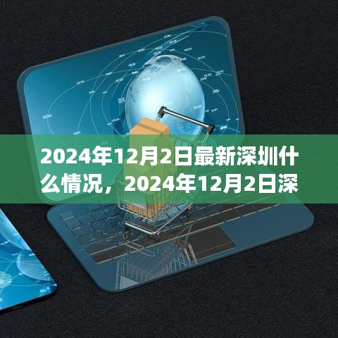 2024年12月2日深圳发展状况最新概览