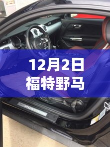 12月2日福特野马热门价格详解，最新动态与购买指南