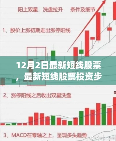 最新短线股票投资指南，适合初学者与进阶用户的步骤攻略（12月2日更新）