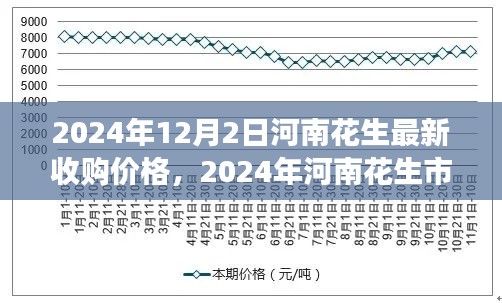 2024年河南花生市场洞察，最新收购价格走势分析与预测