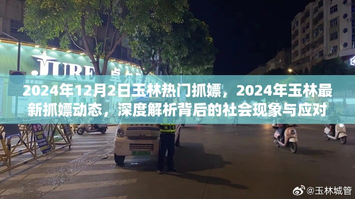 玉林抓嫖行动深度解析，社会现象背后的应对之策