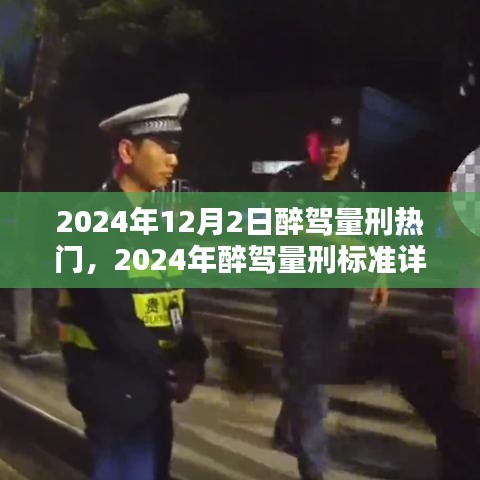 2024年12月3日 第48页