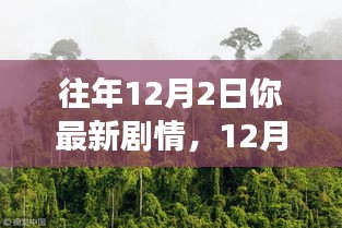 12月2日自然美景中的心灵之旅，寻找宁静与平和的奇妙旅行