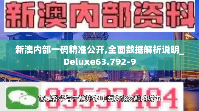 新澳内部一码精准公开,全面数据解析说明_Deluxe63.792-9