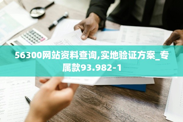 56300网站资料查询,实地验证方案_专属款93.982-1