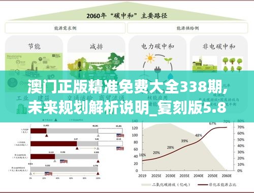 澳门正版精准免费大全338期,未来规划解析说明_复刻版5.820-2