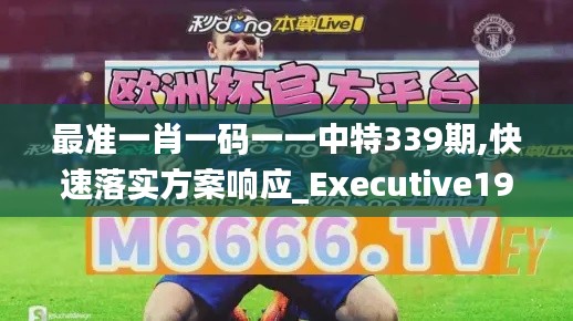 最准一肖一码一一中特339期,快速落实方案响应_Executive191.885-1