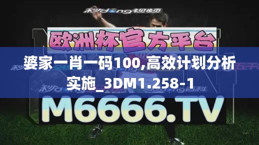 婆家一肖一码100,高效计划分析实施_3DM1.258-1