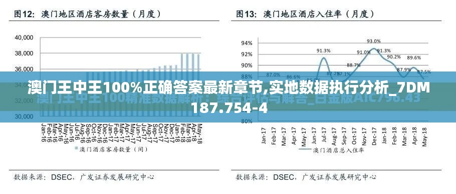 澳门王中王100%正确答案最新章节,实地数据执行分析_7DM187.754-4