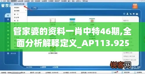 管家婆的资料一肖中特46期,全面分析解释定义_AP113.925-7