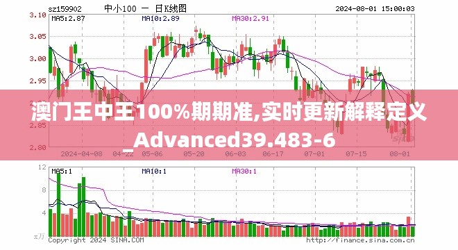 澳门王中王100%期期准,实时更新解释定义_Advanced39.483-6