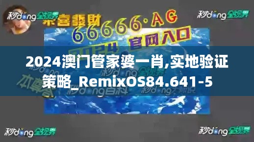 2024澳门管家婆一肖,实地验证策略_RemixOS84.641-5