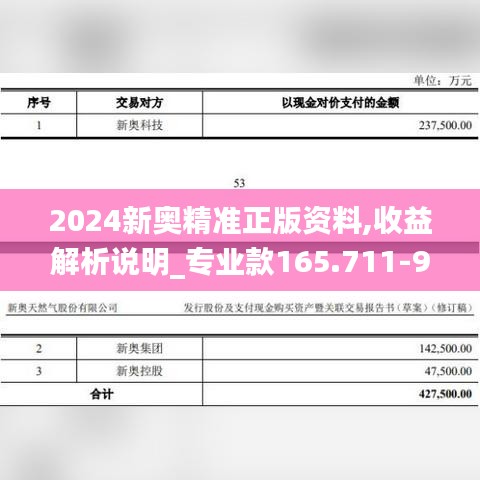 2024新奥精准正版资料,收益解析说明_专业款165.711-9