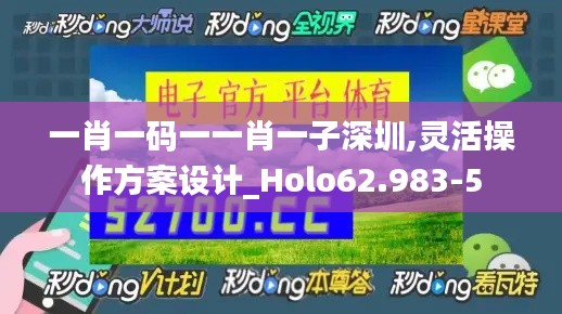 一肖一码一一肖一子深圳,灵活操作方案设计_Holo62.983-5