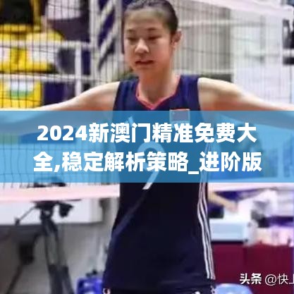 2024新澳门精准免费大全,稳定解析策略_进阶版81.387-5