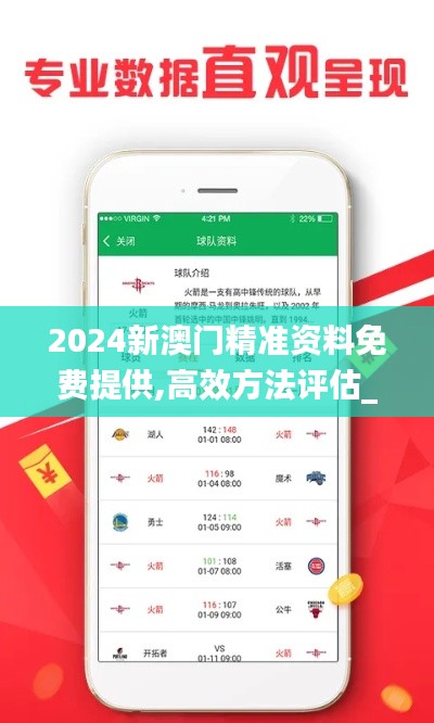 2024新澳门精准资料免费提供,高效方法评估_WP版12.477-2