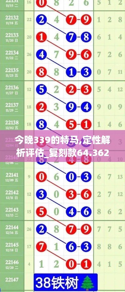 今晚339的特马,定性解析评估_复刻款64.362-9