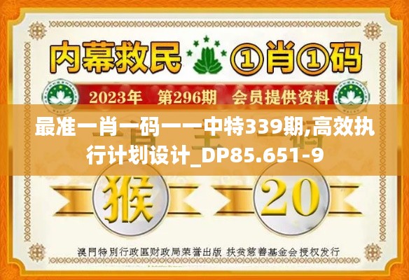 最准一肖一码一一中特339期,高效执行计划设计_DP85.651-9