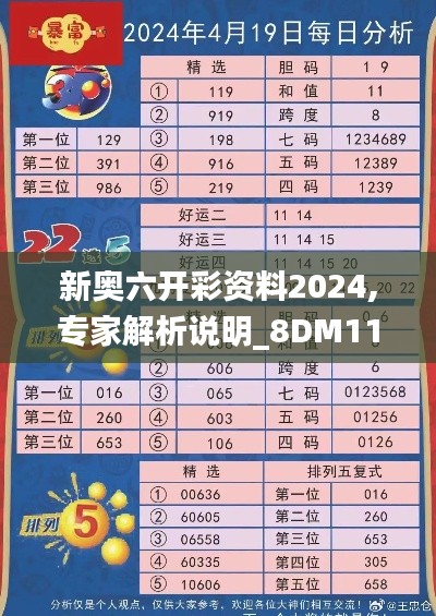 新奥六开彩资料2024,专家解析说明_8DM11.589-5