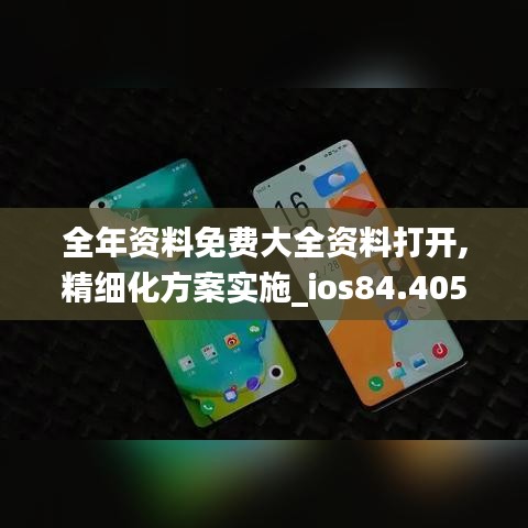 全年资料免费大全资料打开,精细化方案实施_ios84.405-4