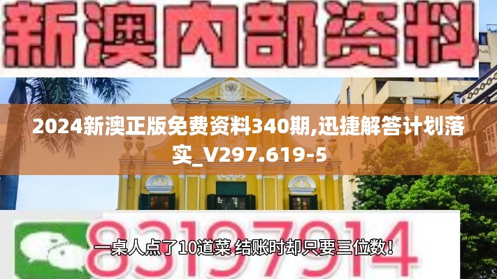 2024新澳正版免费资料340期,迅捷解答计划落实_V297.619-5