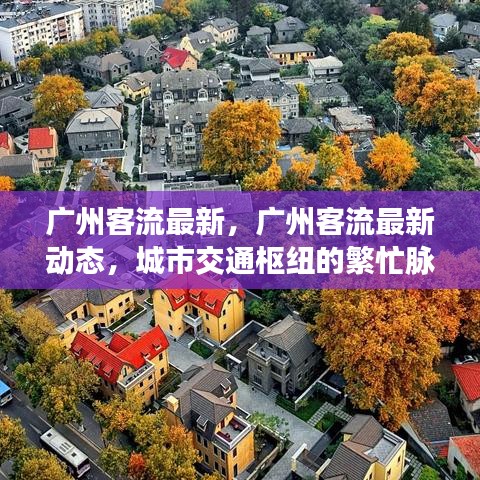 广州城市交通枢纽的客流动态与智能优化策略