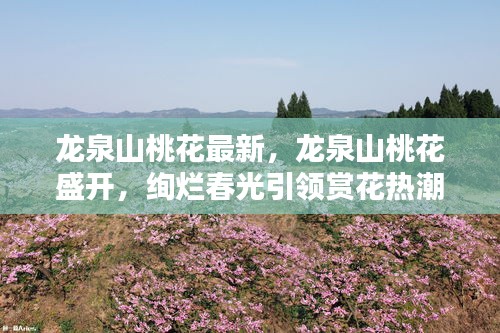 龙泉山桃花盛开，春光绚烂引领赏花热潮