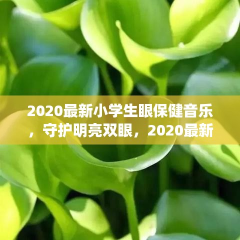 2020最新小学生眼保健音乐，守护明亮双眼，引领护眼新风尚