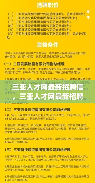 三亚人才网最新招聘讯息汇聚，职场精英的全新机遇