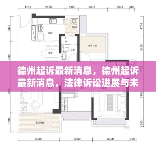 德州法律诉讼最新进展及未来展望，起诉最新消息汇总