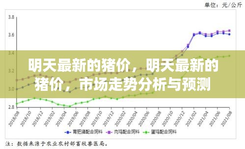 明天最新猪价及市场走势分析与预测