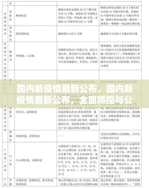 国内新疫情动态更新，全面防控与公众应对策略