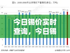 今日锡价实时查询，市场走势分析与预测