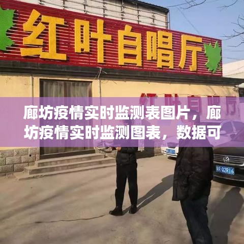 廊坊疫情实时监测图表，数据可视化助力疫情防控新视角