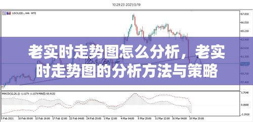 老实时走势图分析指南，方法与策略揭秘