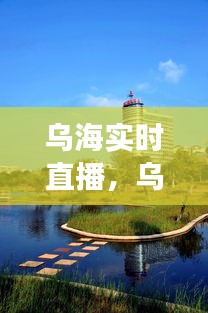 乌海实时直播，探寻城市魅力，展现生态与人文之美风采