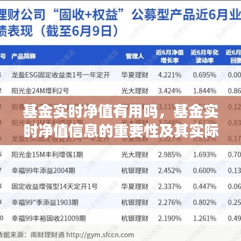 基金实时净值的探讨，重要性、价值及其实用性探究