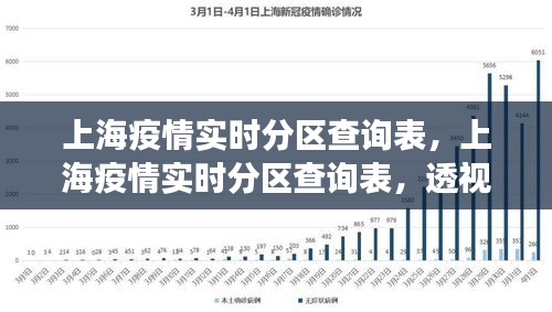 上海疫情实时分区查询表，数据与防控进展深度透视