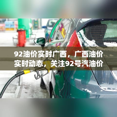 广西油价动态，关注92号汽油价格实时变化