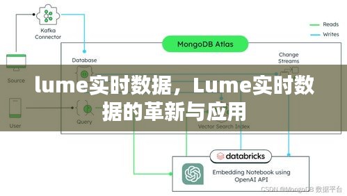 Lume实时数据的革新与应用探索