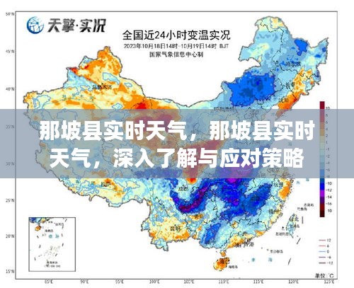 那坡县实时天气详解，深入了解与应对之策