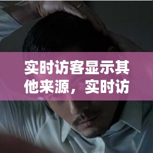 深度解析，实时访客来源之谜，揭示其他来源流量的奥秘