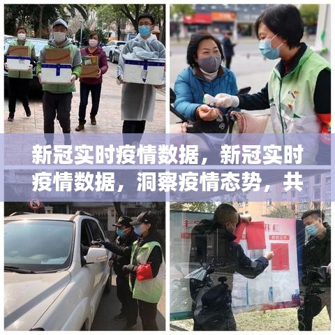 新冠实时疫情数据监测与分析，共筑防控长城，洞察疫情态势